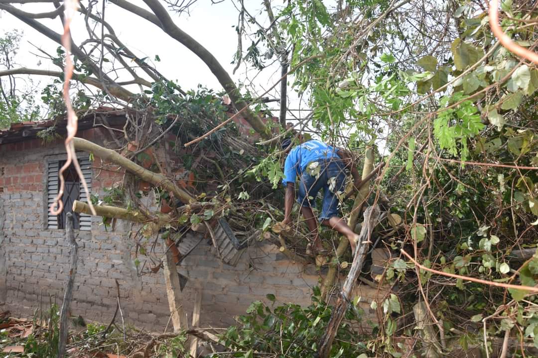 Forte vendaval causa danos em Monsenhor Gil nesta tarde de segunda feira - Imagem 5