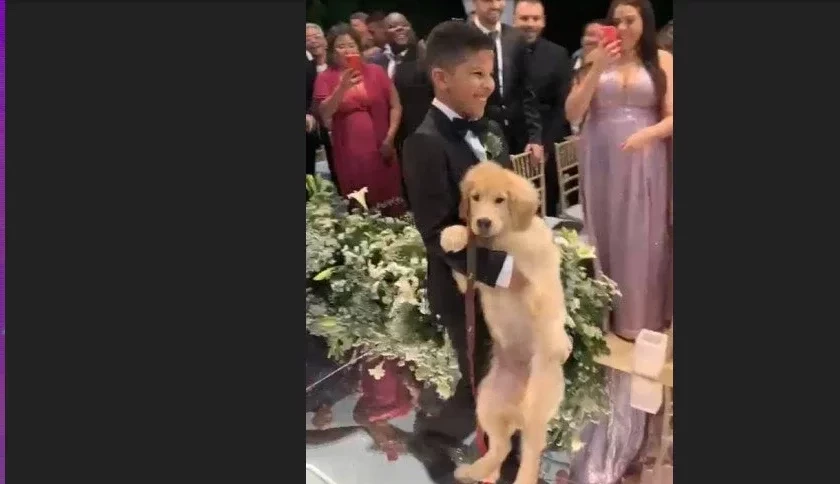 Viviane Araújo abre álbum de casamento para fãs. Veja fotos! - imagem 50700