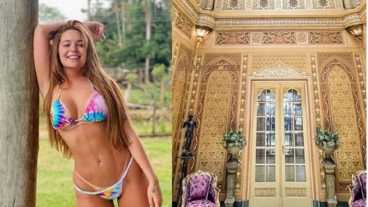 Viih Tube fará festa para 500 pessoas; evento vai custar quase R$ 1 milhão  - imagem 66893