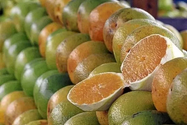 Aprenda 7 truques secretos que as mulheres boas de cama podem te ensinar - imagem 68054