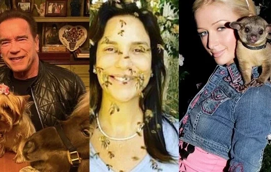 Além de Ivete Sangalo, veja famosos que têm bichos de estimação inusitados
