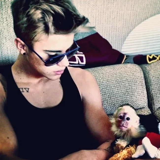Justin Bieber e seu macaco-prego
