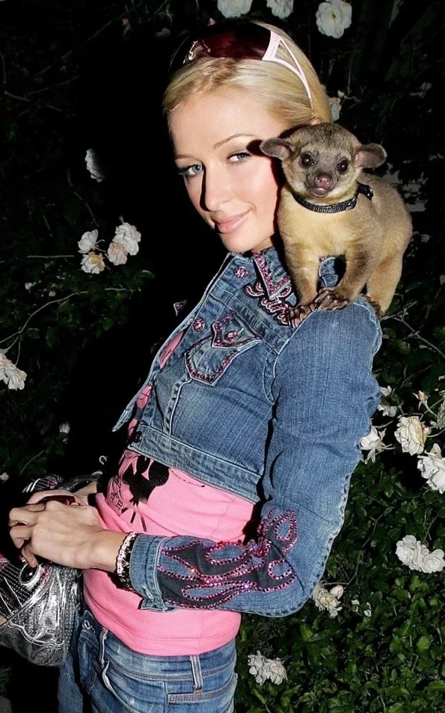 Paris Hilton e seu jupará