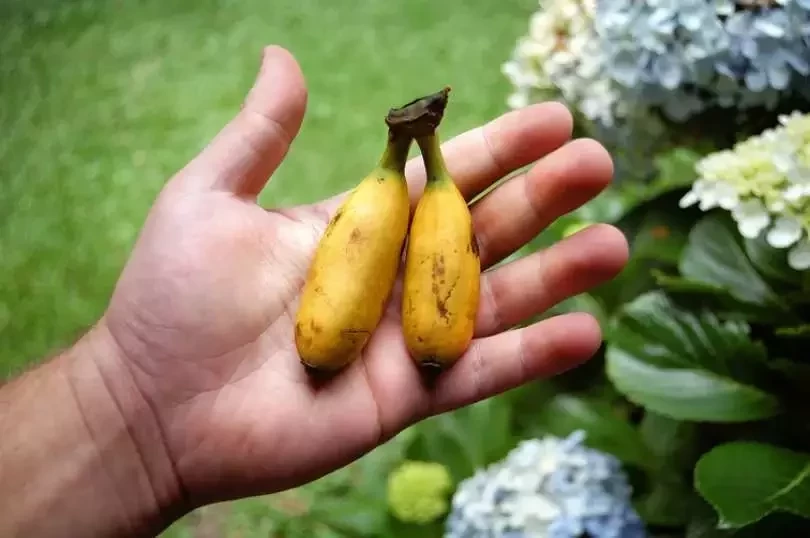 Saiba 7 coisas que não excitam as mulheres mas elas fingem para agradar - imagem 69579