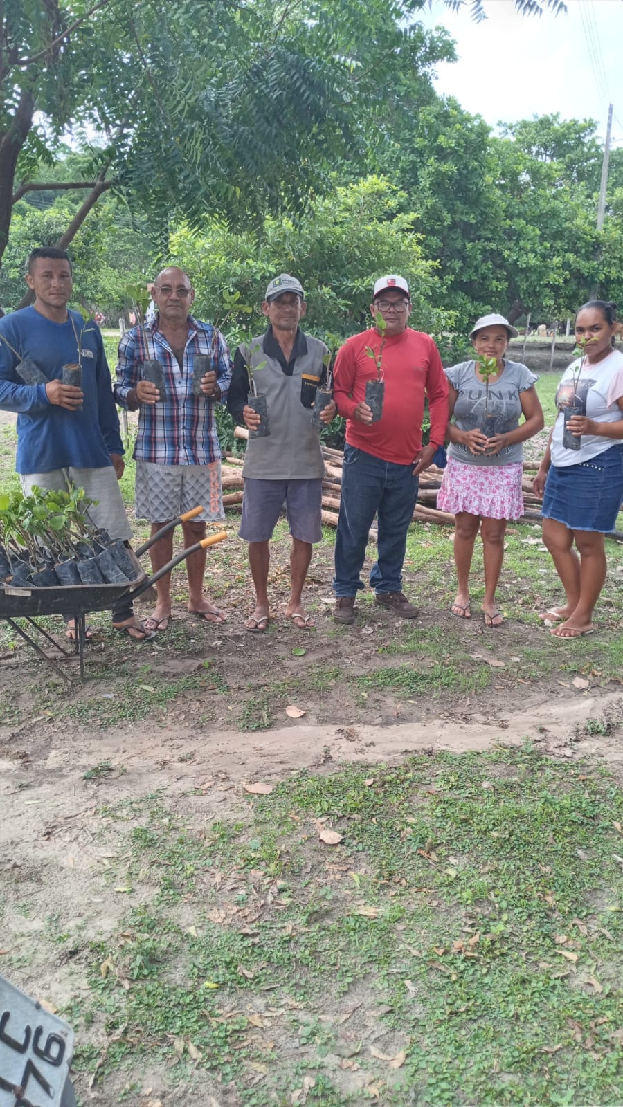 Prefeitura de Joaquim Pires entrega 4.000 mudas de caju aos agricultores - Imagem 6