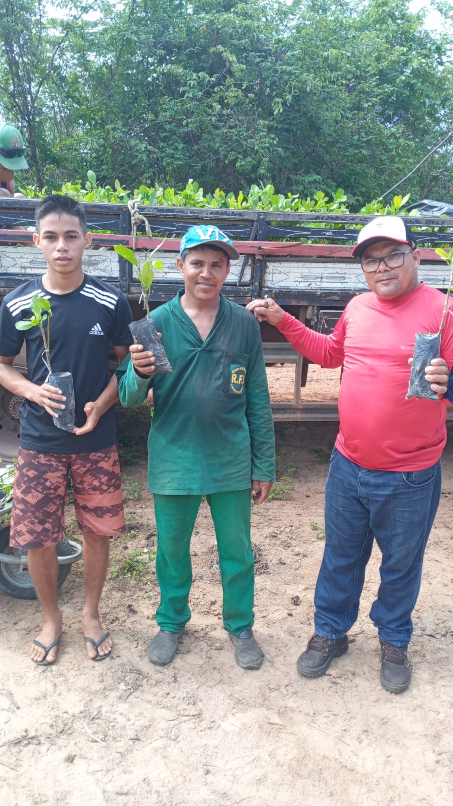 Prefeitura de Joaquim Pires entrega 4.000 mudas de caju aos agricultores - Imagem 2