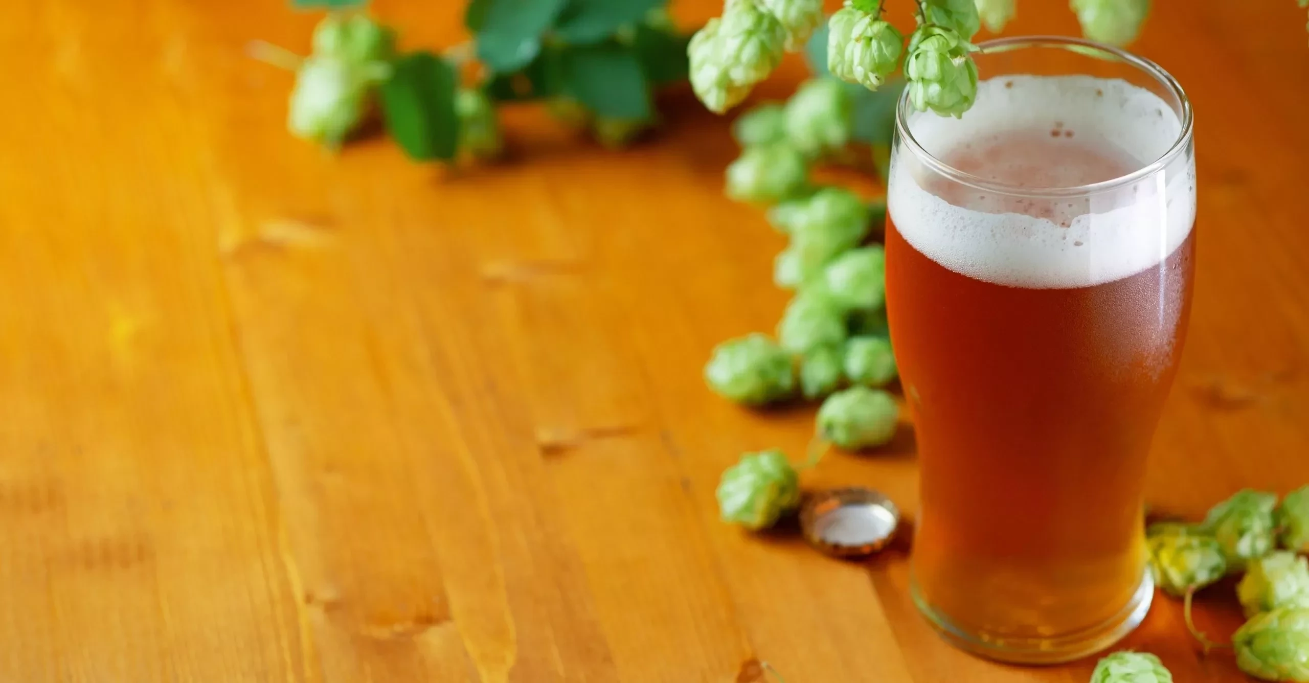 Sextou! Veja o guia que preparamos para os apreciadores de cerveja  - imagem 69732