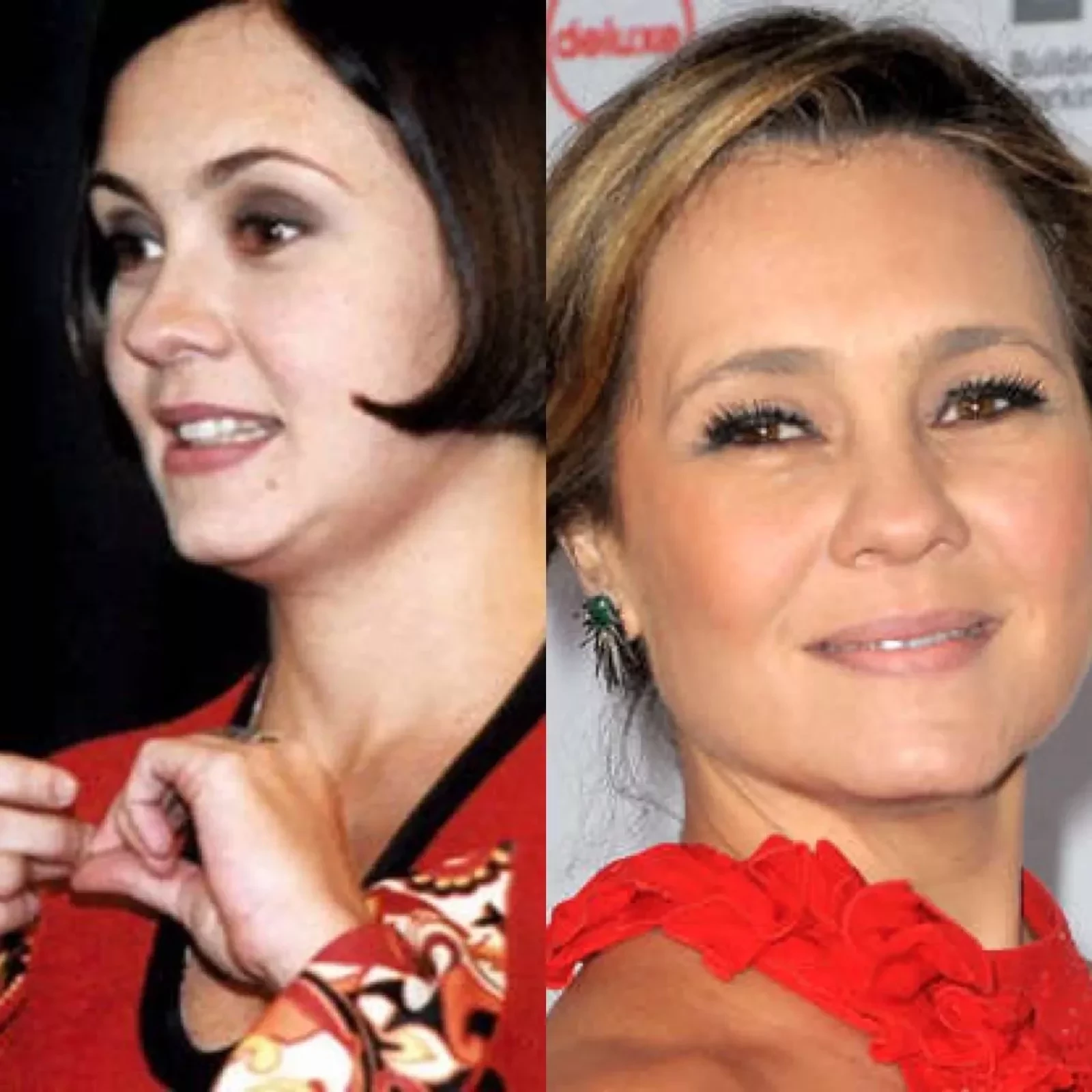 Adriana Esteves (Catarina)