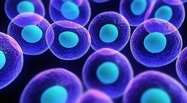 Aumento peniano: Conheça essa super técnica para turbinar seu órgão sexual - imagem 65696