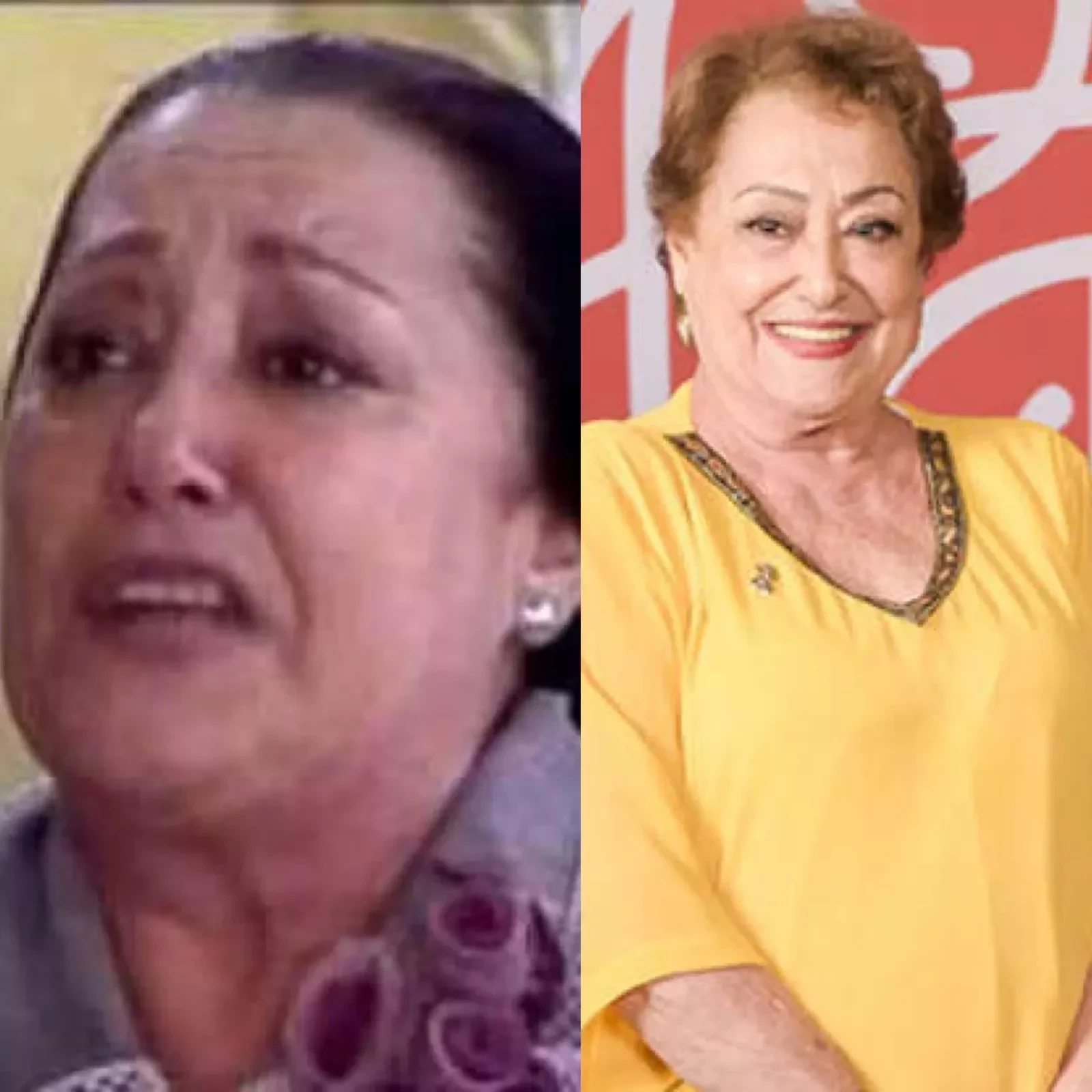 Suely Franco (Mimosa)