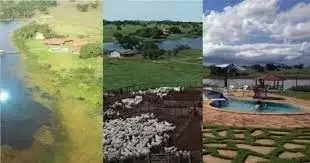 Listamos as fazendas mais valiosas dos famosos brasileiros; surpreenda-se! - imagem 70296