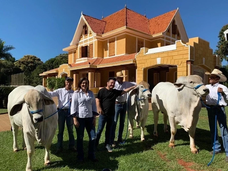 Listamos as fazendas mais valiosas dos famosos brasileiros; surpreenda-se! - imagem 70309