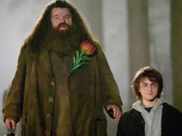 Relembre 10 Atores de Harry Potter que já morreram e deixaram saudade