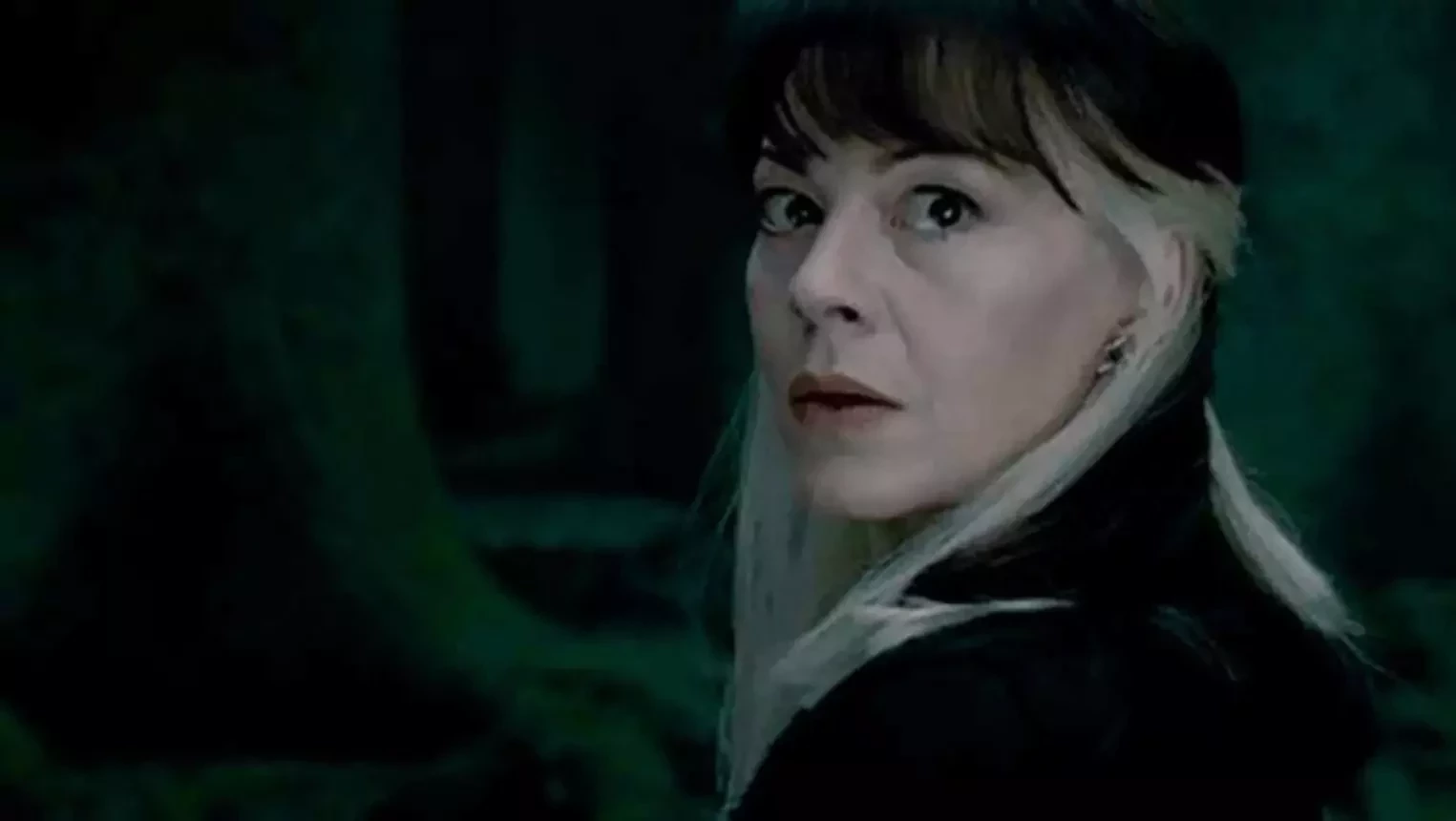 Relembre 10 Atores de Harry Potter que já morreram e deixaram saudade - imagem 106235