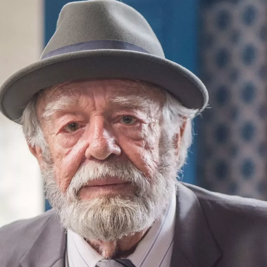 Veja quem são os atores e as atrizes que mais fizeram novelas na TV Globo - imagem 106376