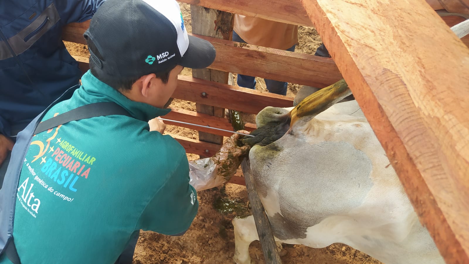 Primeira etapa do Programa + Pecuária Brasil é realizada em Itainópolis - Imagem 4