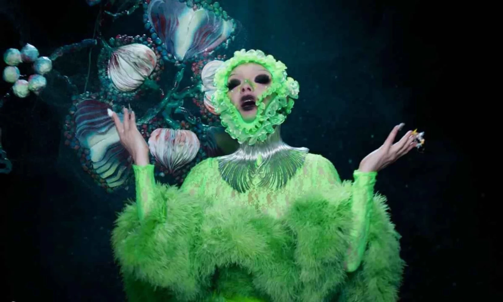 Björk faz 57 anos: saiba curiosidades inusitadas da artista - imagem 108910