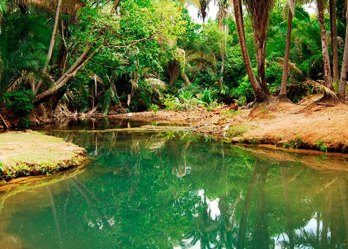 Monsenhor Gil conquista Selo Ambiental do ICMS Ecológico categoria A  - Imagem 4