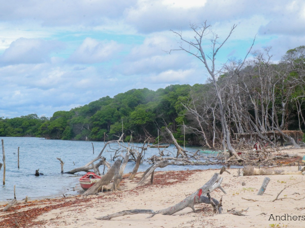 Luís Correia é contemplado com Selo B do ICMS Ecológico