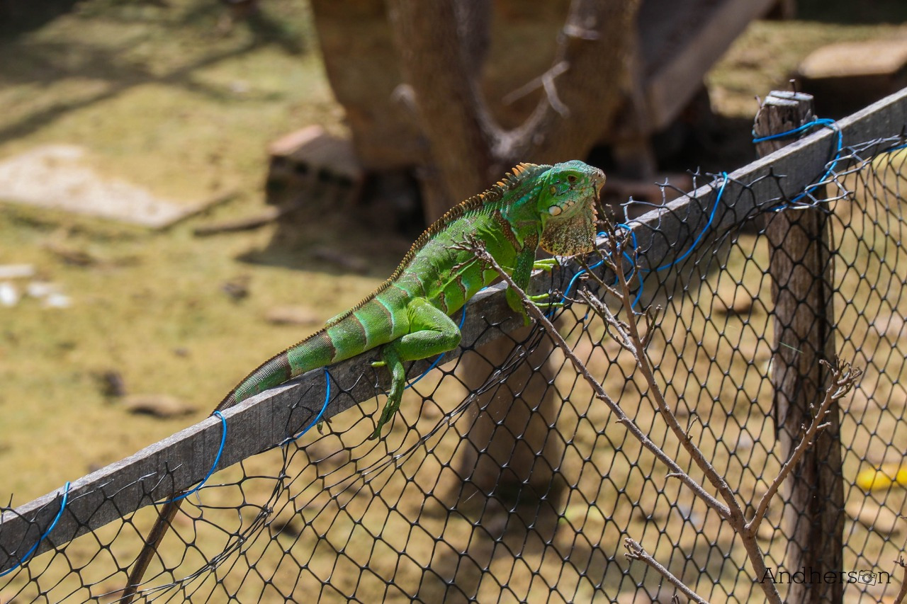 Selo B do ICMS Ecológico (Divulgação)