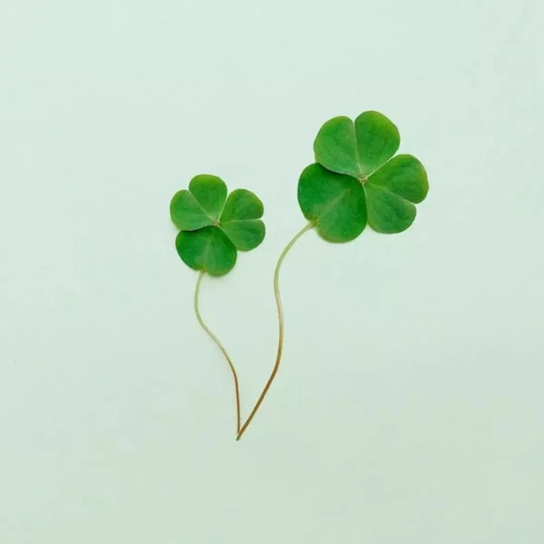 Horóscopo 2023: Descubra quais signos que terão mais sorte no ano novo - imagem 111604