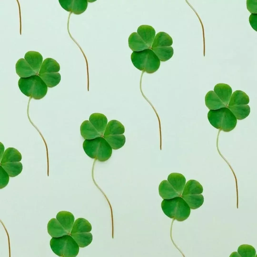 Horóscopo 2023: Descubra quais signos que terão mais sorte no ano novo - imagem 111607