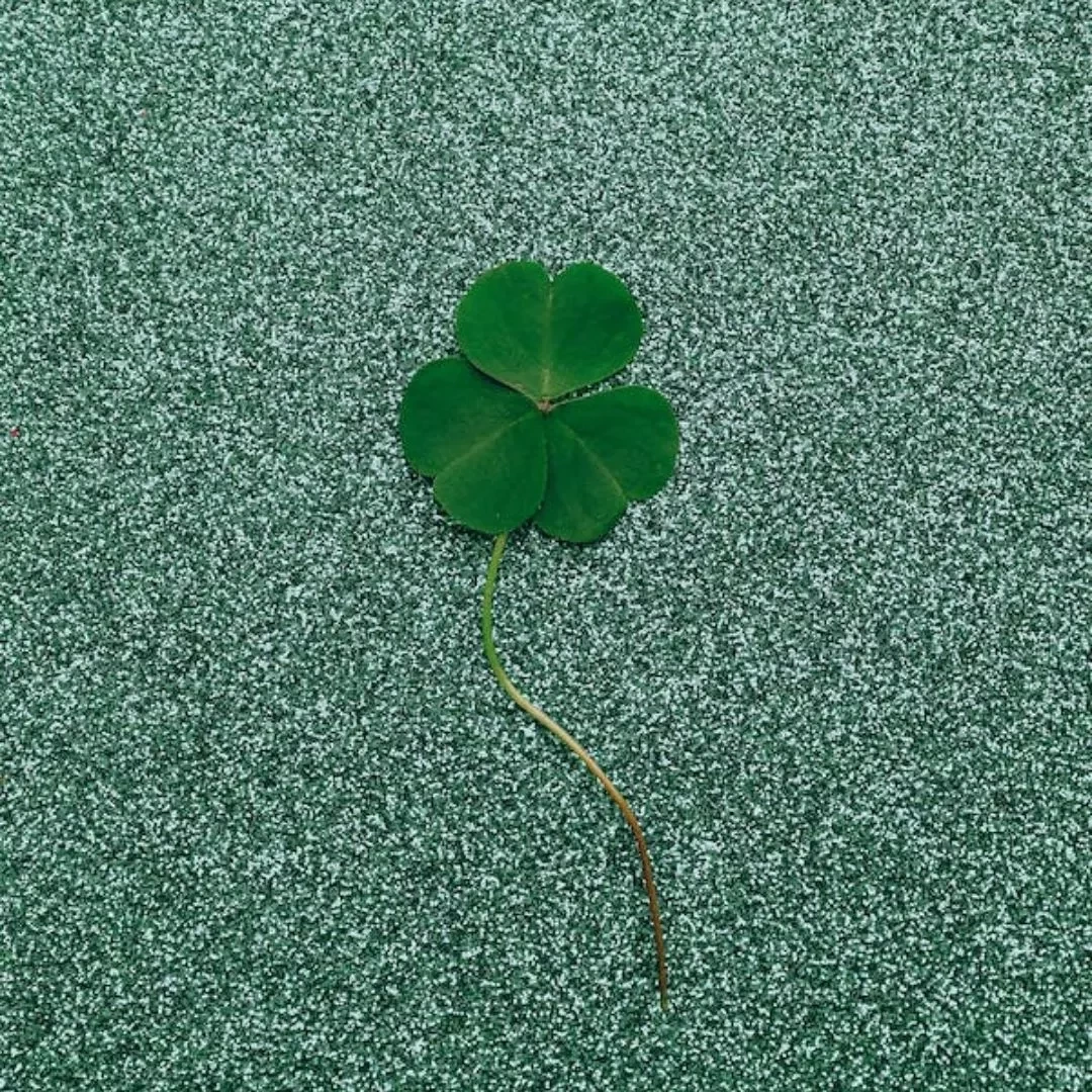 Horóscopo 2023: Descubra quais signos que terão mais sorte no ano novo - imagem 111606