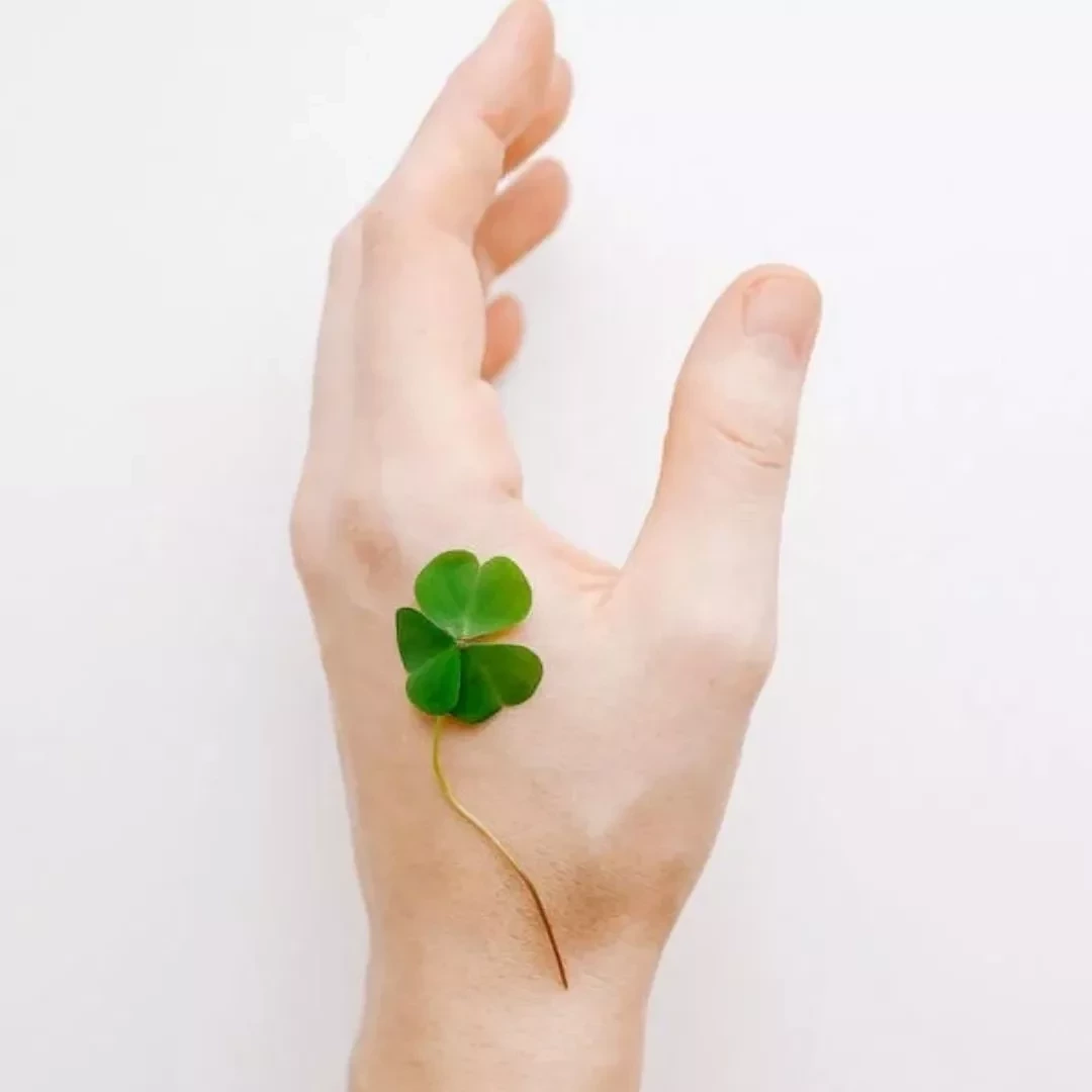 Horóscopo 2023: Descubra quais signos que terão mais sorte no ano novo - imagem 111605