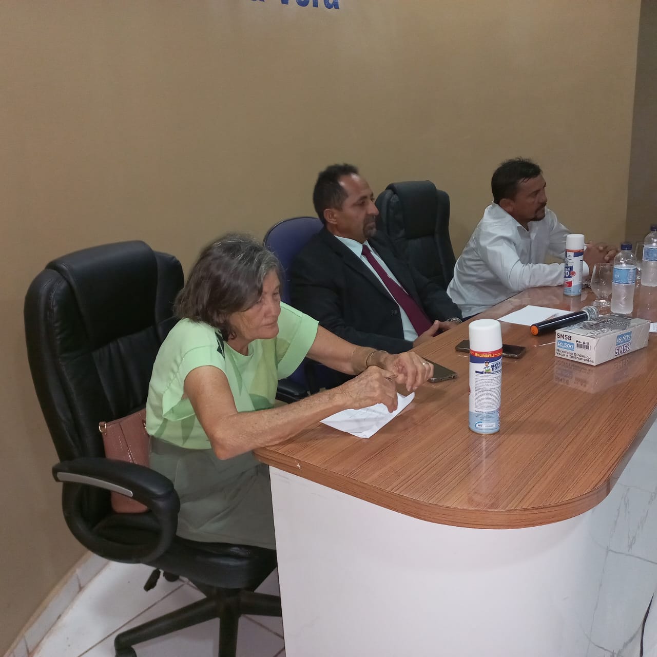 Vereadora Remédios é eleita Presidente da Câmara legislativa de Itainópolis - Imagem 2