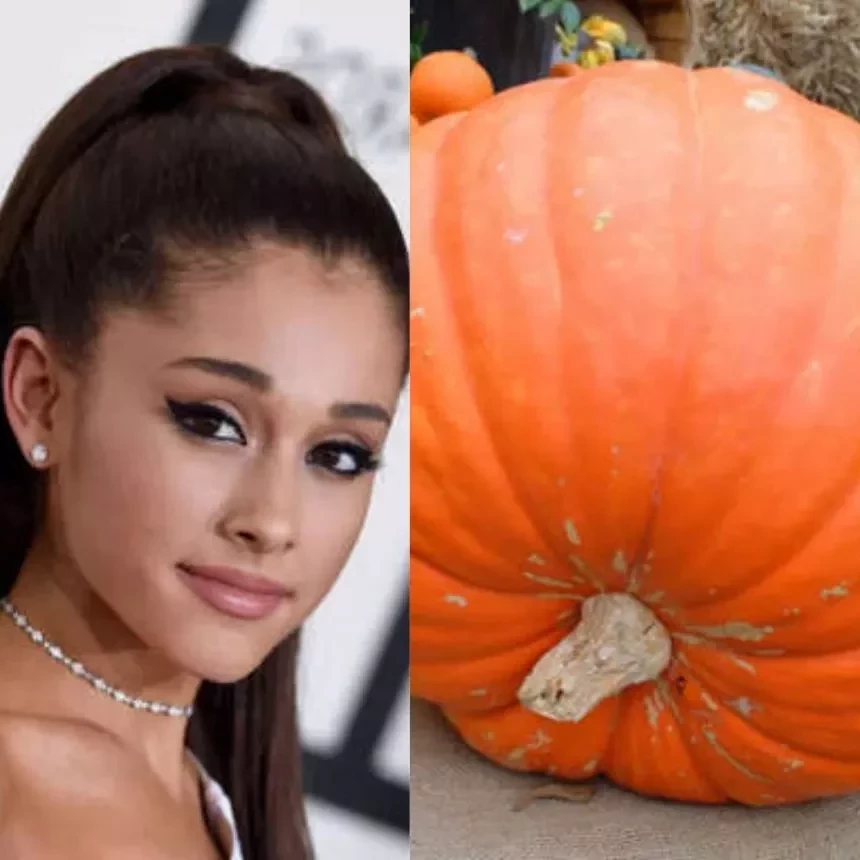 Caixão ou penico? Coisas esquisitas que famosos já receberam de presente - imagem 110399