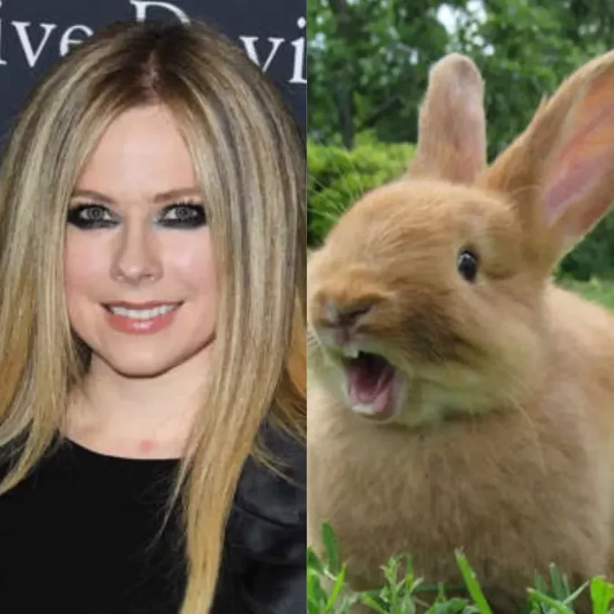 Caixão ou penico? Coisas esquisitas que famosos já receberam de presente - imagem 110401