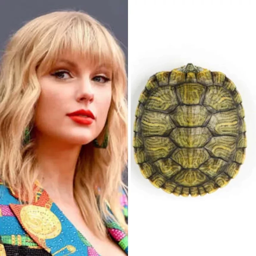 Caixão ou penico? Coisas esquisitas que famosos já receberam de presente - imagem 110411