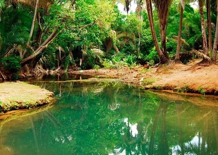 Cinco cidades do interior do Piauí para fazer bate volta  - imagem 70606