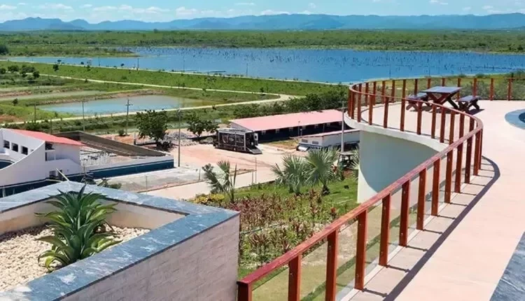 Conheça o Haras WS, fazenda milionária de Wesley Safadão no Ceará. Fotos - imagem 79619