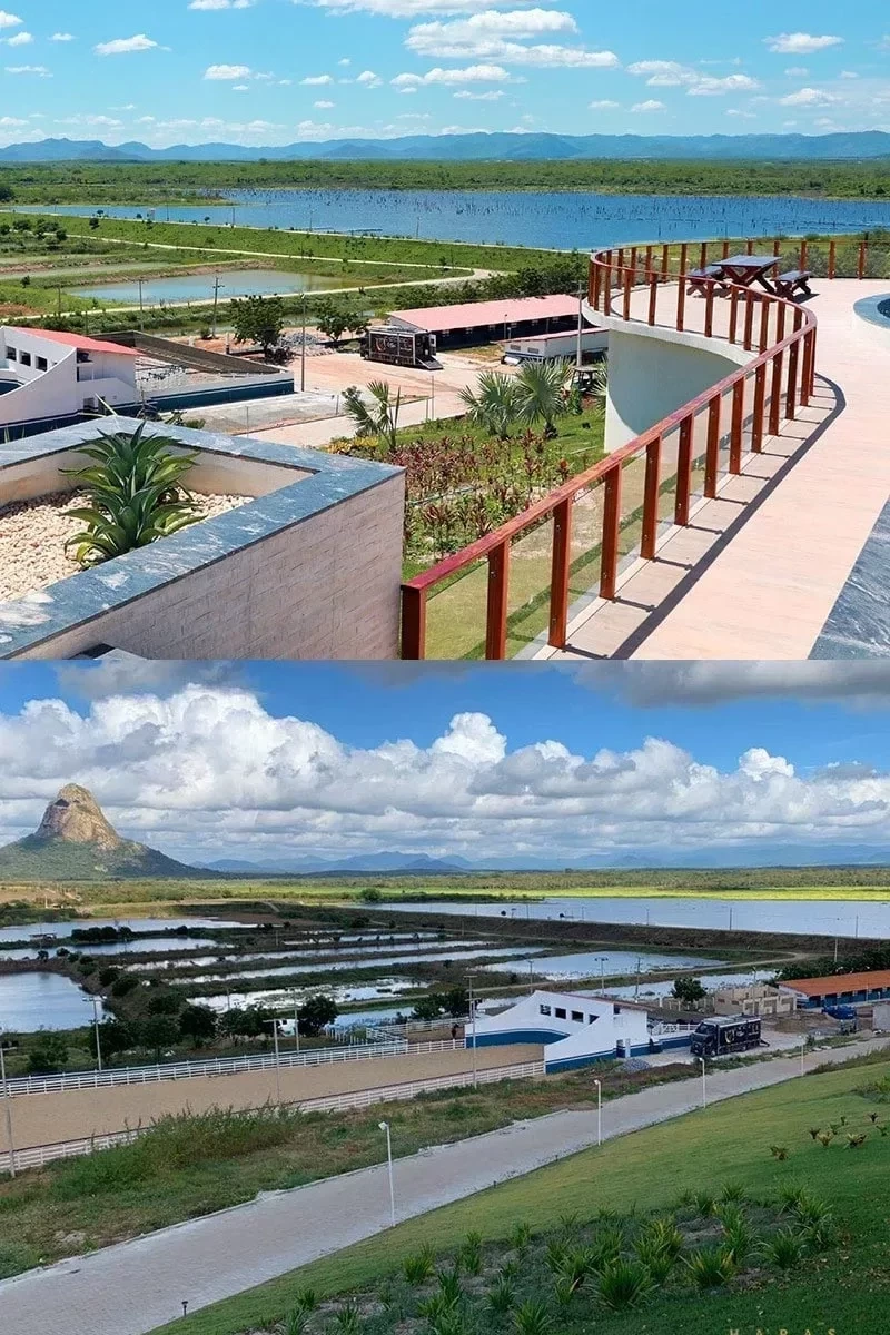 Conheça o Haras WS, fazenda milionária de Wesley Safadão no Ceará. Fotos - imagem 79616