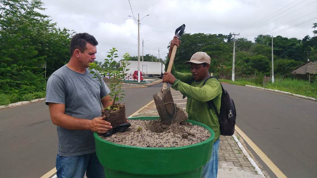 Avenida Chagô Rebelo está sendo novas mudas de plantas - Imagem 2