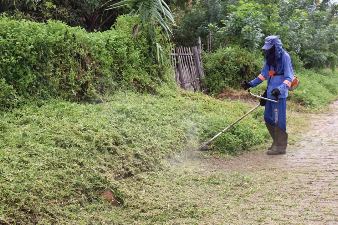 Prefeitura de Monsenhor Gil intensifica limpeza de suas vias e logradouros - Imagem 6