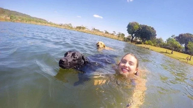 Defensora dos animais