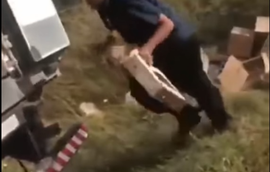 Prefeito de Coivaras flagra e denuncia crime ambiental no município