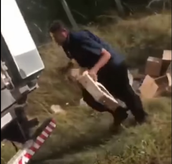 Prefeito de Coivaras flagra e denuncia crime ambiental no município - Imagem 1