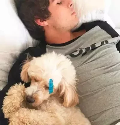 É o amor! Listamos 20 casais para lá de apaixonados do mundo dos famosos - imagem 86732