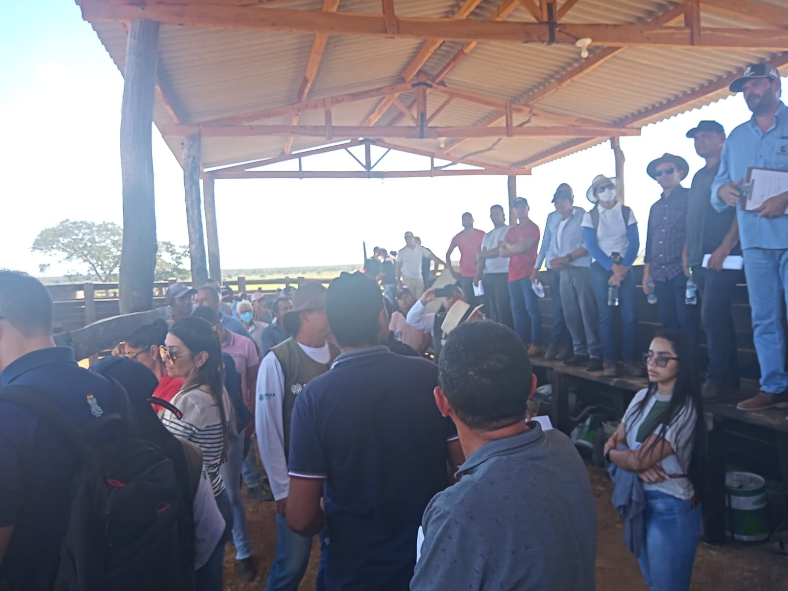 Dia de Campo na Fazenda Uberlândia em Parnaguá PI - Imagem 3