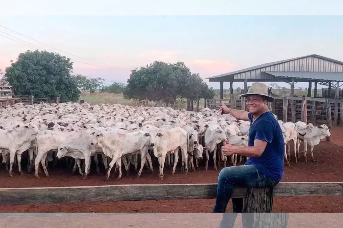 Milionárias! Confira 7 fazendas de cantores sertanejos brasileiros - imagem 88396