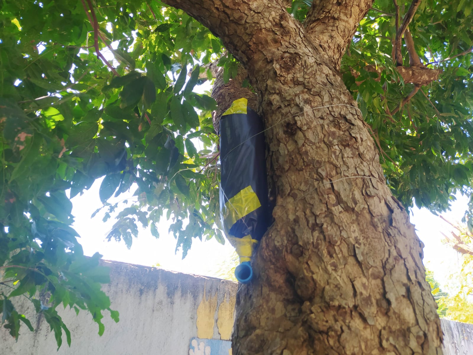 Equipe da Secretaria de Agricultura participa de oficina na UFPI de Picos. - Imagem 7