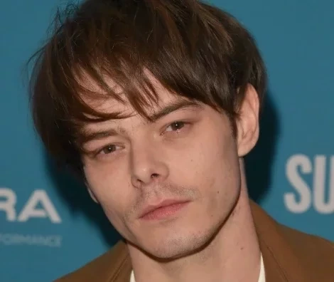 "Stranger Things": Saiba qual foi o salário do elenco na quarta temporada - imagem 92426