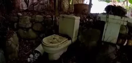 Passado de glamour: abandonada, veja as ruínas da mansão de Clodovil  - imagem 90675