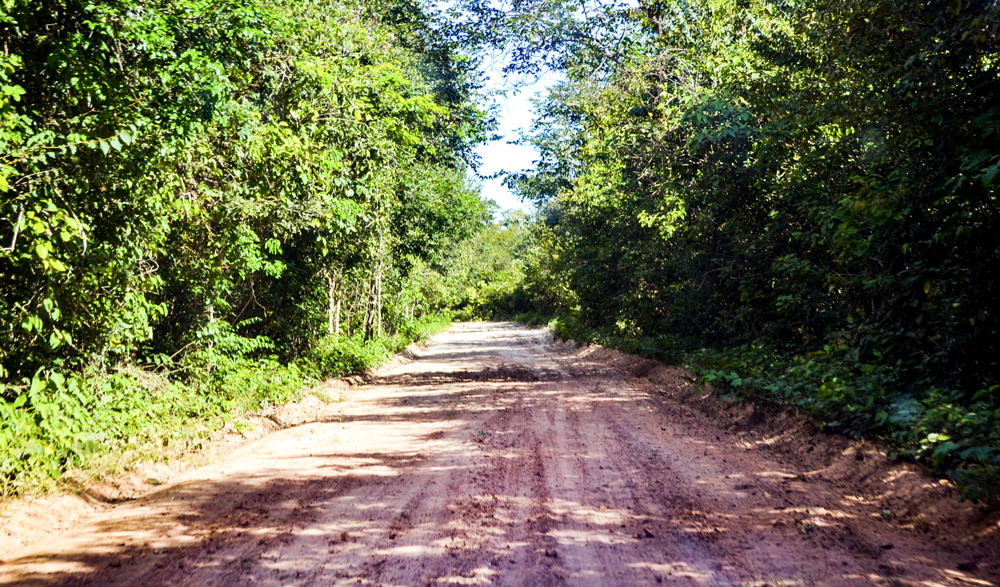 Prefeitura Municipal inicia a revitalização de estradas vicinais - Imagem 4