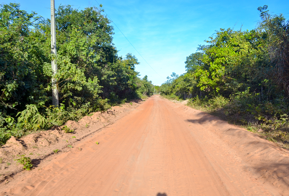 Prefeitura Municipal inicia a revitalização de estradas vicinais - Imagem 12