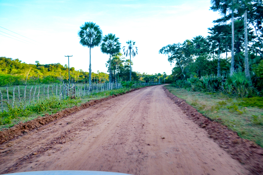 Prefeitura Municipal inicia a revitalização de estradas vicinais - Imagem 19