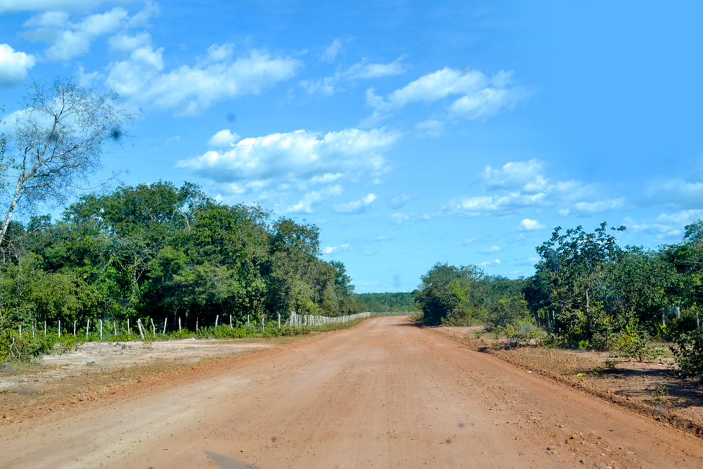 Prefeitura Municipal inicia a revitalização de estradas vicinais - Imagem 2